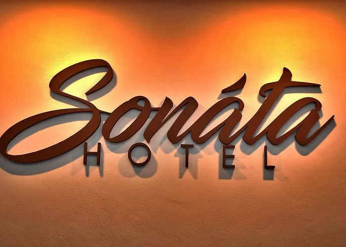 Hotel Sonata 3*